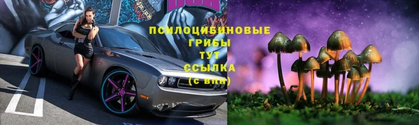 мдпв Бугульма