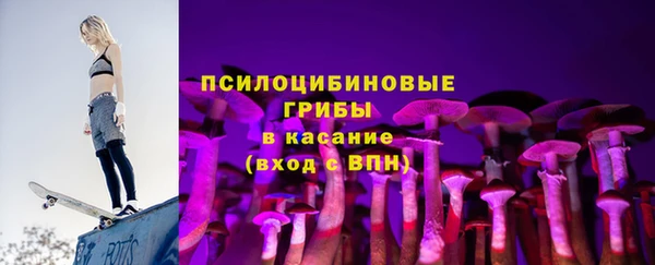 мдпв Бугульма