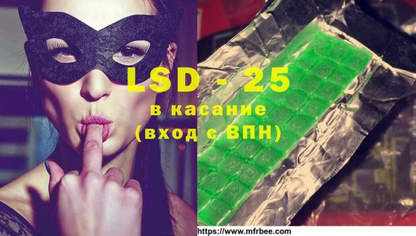 spice Верея